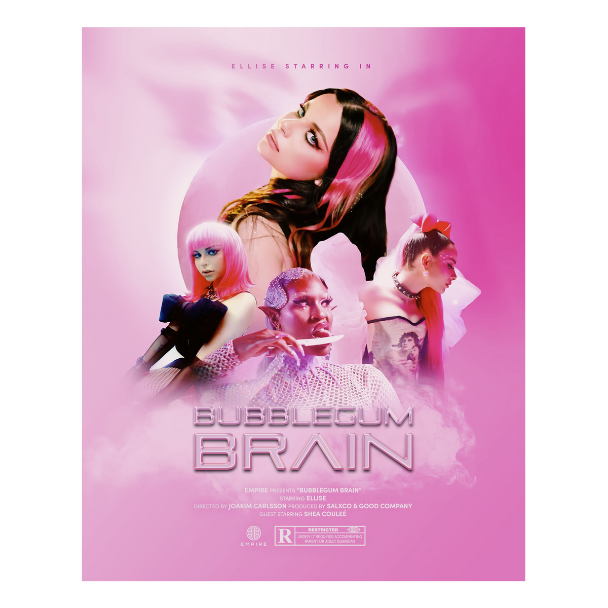 Bubblegum Brain Poster
